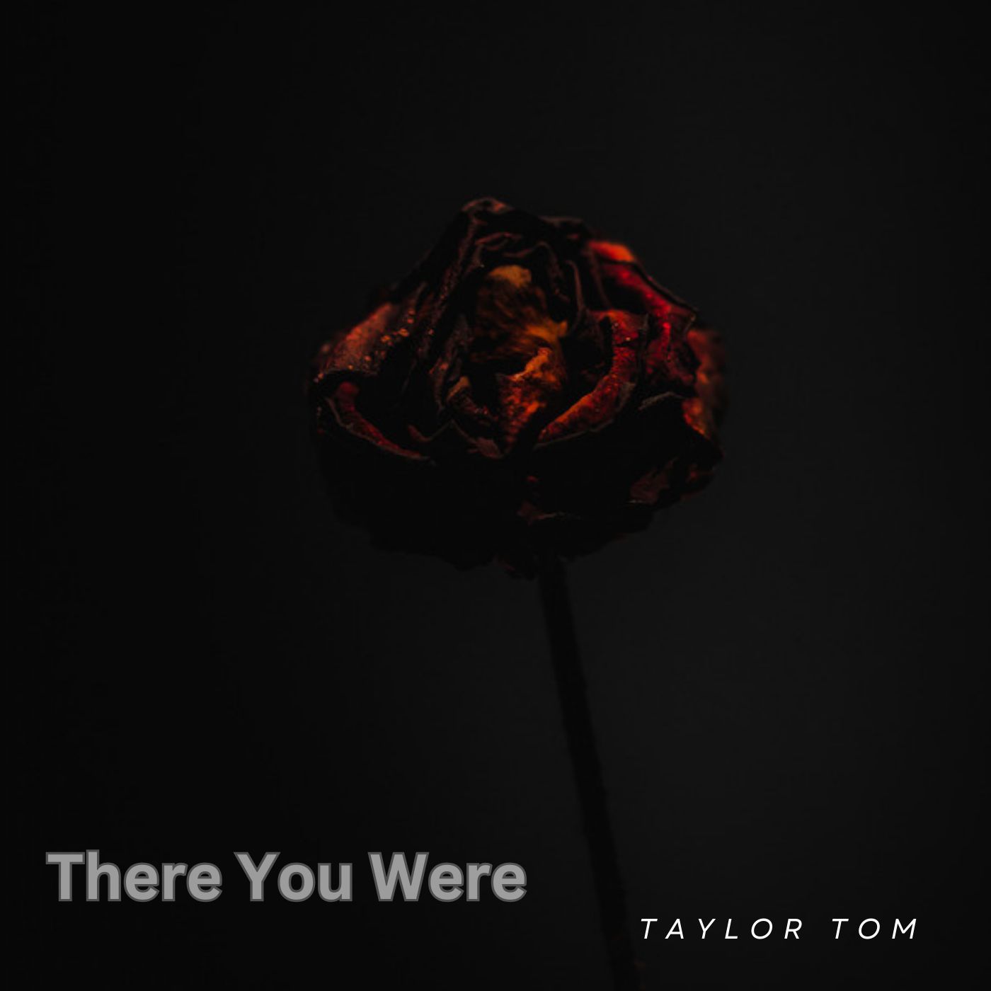 There You Were by Taylor Tom