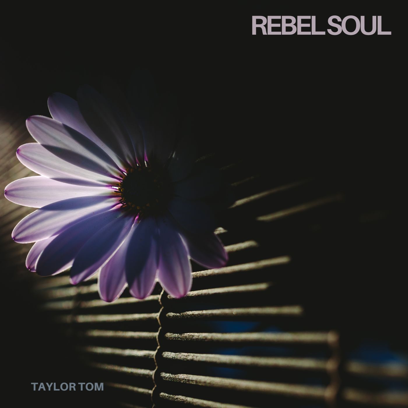 Rebel Soul